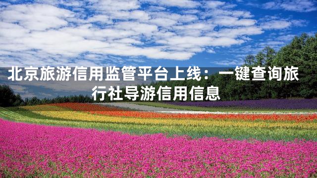 北京旅游信用监管平台上线：一键查询旅行社导游信用信息