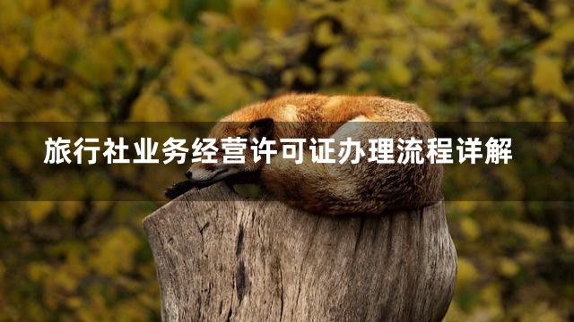 旅行社业务经营许可证办理流程详解