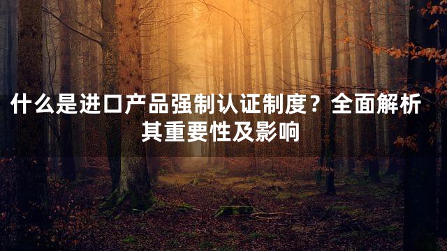 什么是进口产品强制认证制度？全面解析其重要性及影响