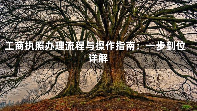工商执照办理流程与操作指南：一步到位详解