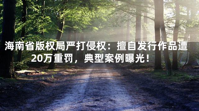 海南省版权局严打侵权：擅自发行作品遭20万重罚，典型案例曝光！