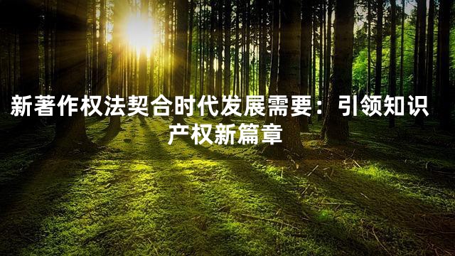 新著作权法契合时代发展需要：引领知识产权新篇章