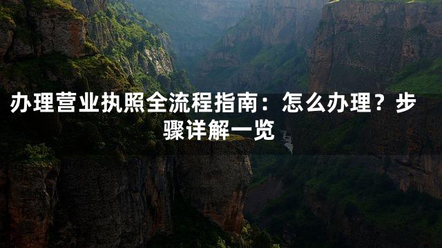 办理营业执照全流程指南：怎么办理？步骤详解一览