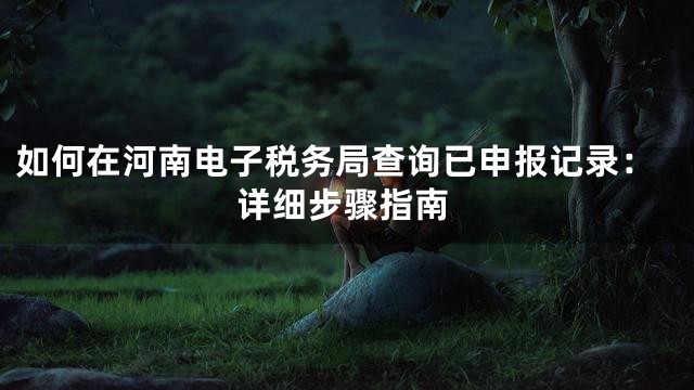 如何在河南电子税务局查询已申报记录：详细步骤指南