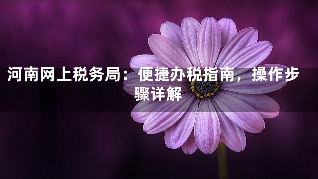 河南网上税务局：便捷办税指南，操作步骤详解