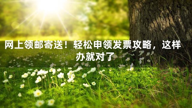 网上领邮寄送！轻松申领发票攻略，这样办就对了