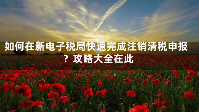 如何在新电子税局快速完成注销清税申报？攻略大全在此