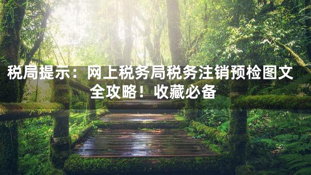 税局提示：网上税务局税务注销预检图文全攻略！收藏必备