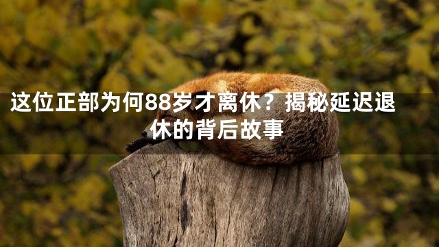 这位正部为何88岁才离休？揭秘延迟退休的背后故事