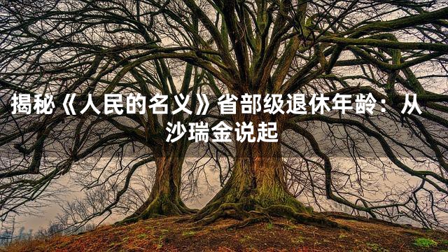 揭秘《人民的名义》省部级退休年龄：从沙瑞金说起