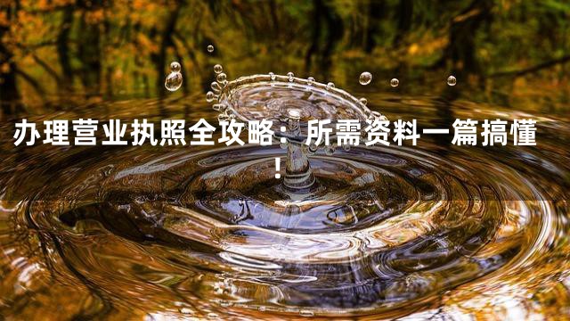 办理营业执照全攻略：所需资料一篇搞懂！