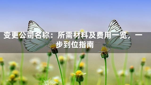 变更公司名称：所需材料及费用一览，一步到位指南