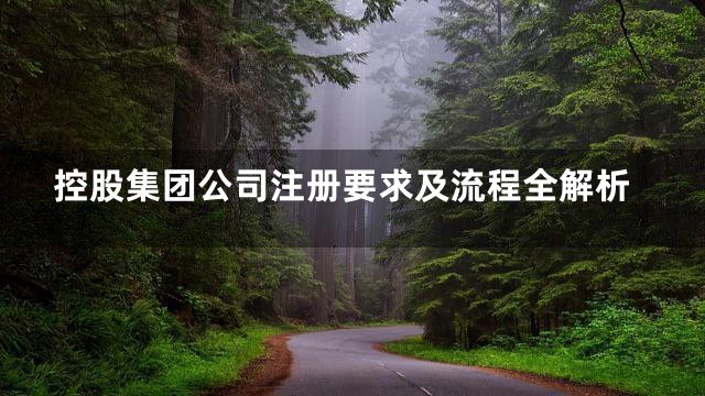 控股集团公司注册要求及流程全解析