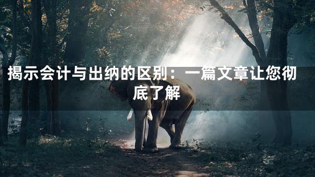 揭示会计与出纳的区别：一篇文章让您彻底了解