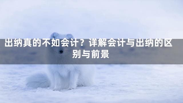 出纳真的不如会计？详解会计与出纳的区别与前景