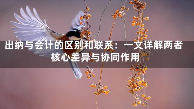 出纳与会计的区别和联系：一文详解两者核心差异与协同作用