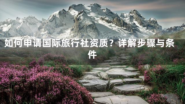 如何申请国际旅行社资质？详解步骤与条件