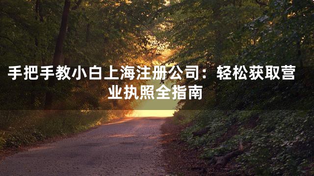 手把手教小白上海注册公司：轻松获取营业执照全指南