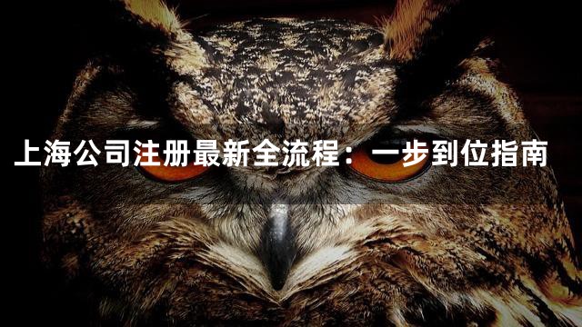 上海公司注册最新全流程：一步到位指南