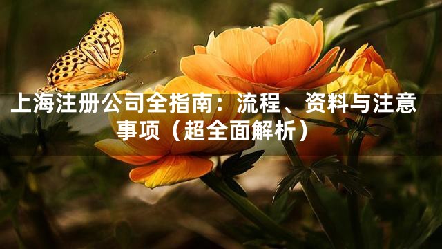 上海注册公司全指南：流程、资料与注意事项（超全面解析）