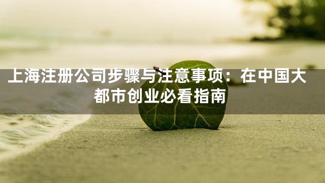 上海注册公司步骤与注意事项：在中国大都市创业必看指南