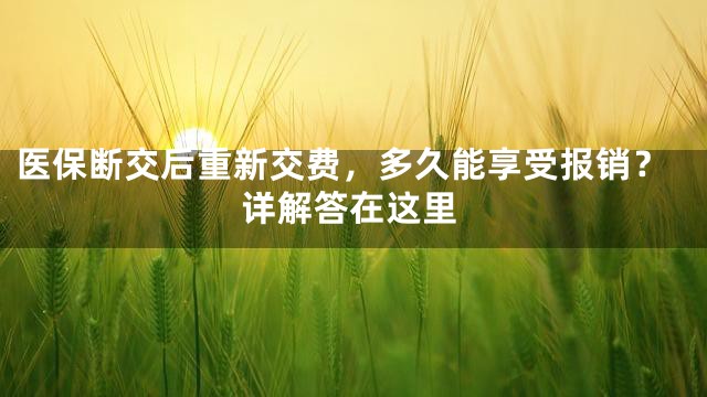 医保断交后重新交费，多久能享受报销？详解答在这里