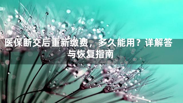 医保断交后重新缴费，多久能用？详解答与恢复指南