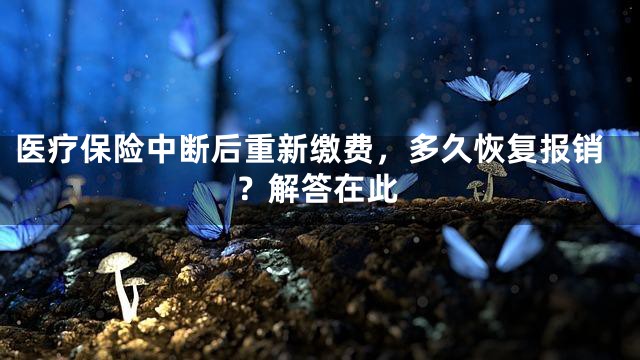 医疗保险中断后重新缴费，多久恢复报销？解答在此
