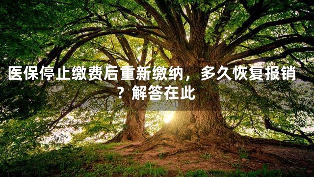 医保停止缴费后重新缴纳，多久恢复报销？解答在此