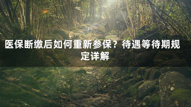 医保断缴后如何重新参保？待遇等待期规定详解