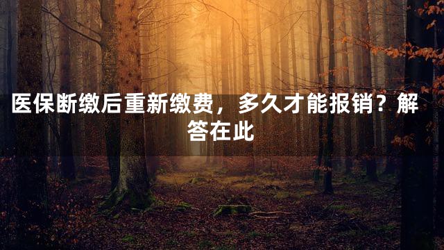 医保断缴后重新缴费，多久才能报销？解答在此