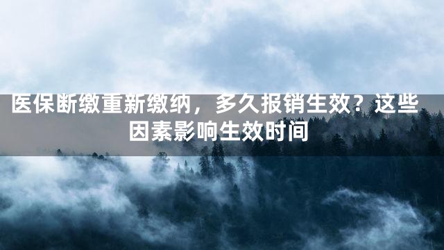 医保断缴重新缴纳，多久报销生效？这些因素影响生效时间