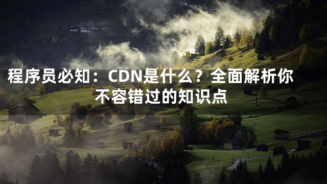 程序员必知：CDN是什么？全面解析你不容错过的知识点