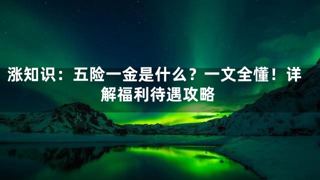 涨知识：五险一金是什么？一文全懂！详解福利待遇攻略