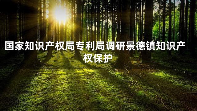 国家知识产权局专利局调研景德镇知识产权保护