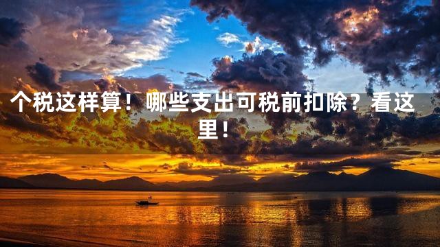 个税这样算！哪些支出可税前扣除？看这里！