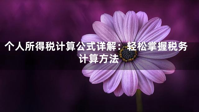 个人所得税计算公式详解：轻松掌握税务计算方法