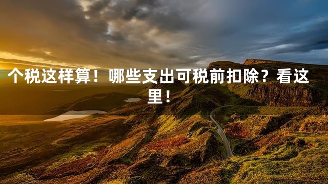个税这样算！哪些支出可税前扣除？看这里！