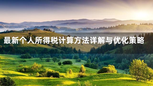 最新个人所得税计算方法详解与优化策略