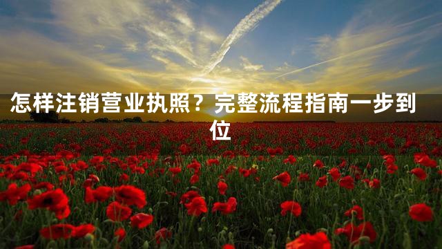怎样注销营业执照？完整流程指南一步到位