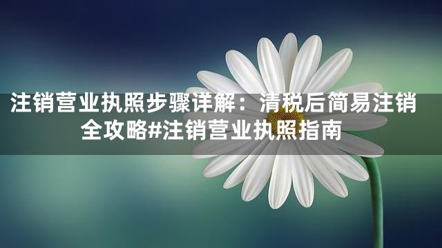注销营业执照步骤详解：清税后简易注销全攻略#注销营业执照指南