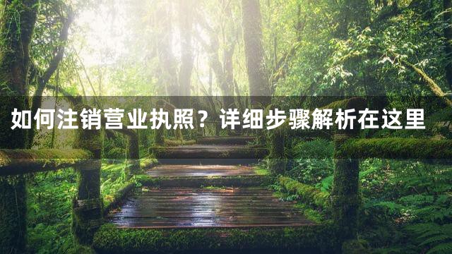 如何注销营业执照？详细步骤解析在这里