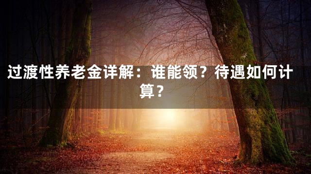 过渡性养老金详解：谁能领？待遇如何计算？