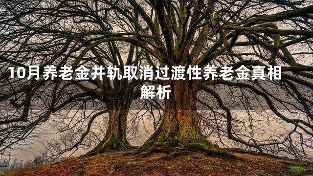 10月养老金并轨取消过渡性养老金真相解析