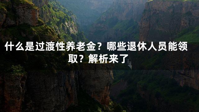 什么是过渡性养老金？哪些退休人员能领取？解析来了