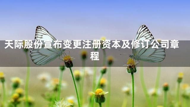 天际股份宣布变更注册资本及修订公司章程