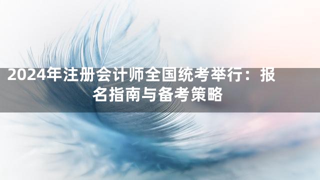2024年注册会计师全国统考举行：报名指南与备考策略