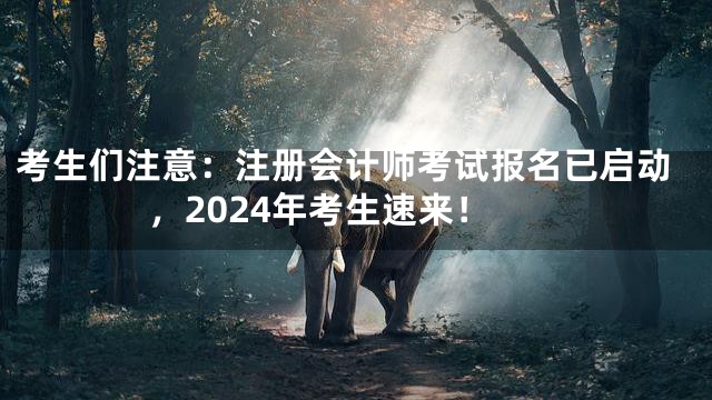 考生们注意：注册会计师考试报名已启动，2024年考生速来！