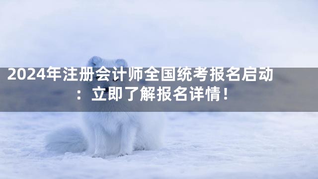 2024年注册会计师全国统考报名启动：立即了解报名详情！