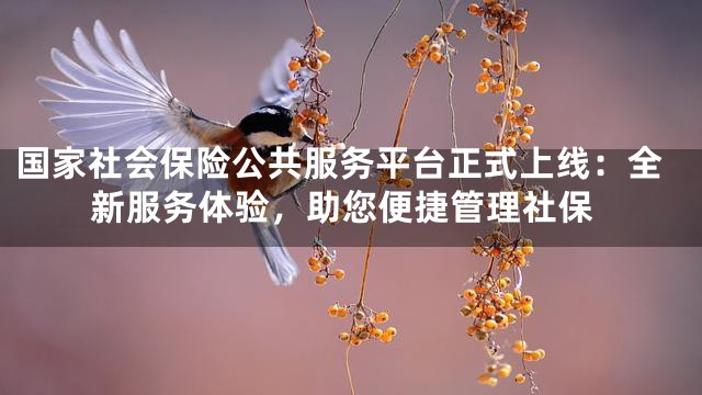 国家社会保险公共服务平台正式上线：全新服务体验，助您便捷管理社保